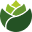 vietseeds.org