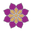 vijayalakshmisilks.com