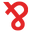 vimvigr.com