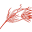 vinc.net.au
