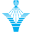 vincor.com