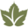 vineyard.com