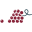 vineyardwinecellars.com