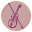 violinlounge.com