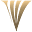 virtosuart.com