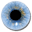 visuwords.com
