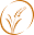 vitalvittles.com