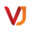 vjcamera.com