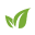 vnwriter.net