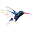 volans.com