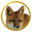 vos.net