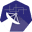 voyagermesh.com