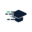 vsimpptx.com