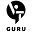 vt.guru