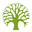 vvweb.cn