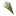 wakedacampground.com
