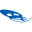 wangsu.com