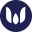 wardenswap.com