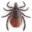 waterbug.net