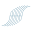 wave.capital