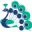 wds.org.in