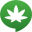 weedstreet420.com
