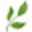 weerribben.com