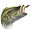 westernbass.com