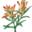 westernnativeseed.com