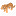 weststigerspro.blogspot.com