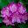 whatsbloomingnow.com