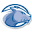 wheatoncollegelyons.com