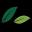 whg.net.au