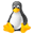 white55.ru