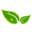 whitefog.com