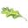 whiteoakswealth.com