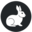 whiterabbit.group