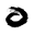 whiterabbitcollection.org