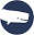 whitewhalebookstore.com