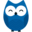 whys.video
