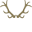 wild-wald.com