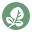 wild.org