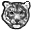 wildcatfund.org