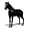 wildhorsemesacolorado.com