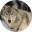 wildlife-animals.com
