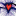 wildtruth.net