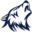 wildwolfoutfitters.com