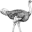williamkowalski.com