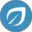 windtopik.fr