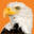 wingsevents.com